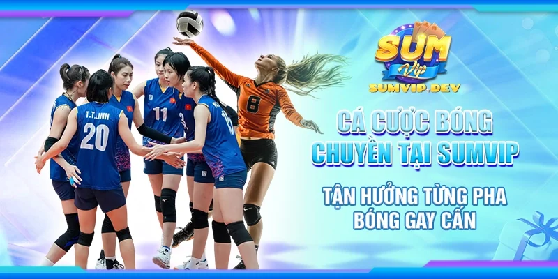 Cá cược bóng chuyền tại Sumvip - Tận hưởng từng pha bóng gay cấn