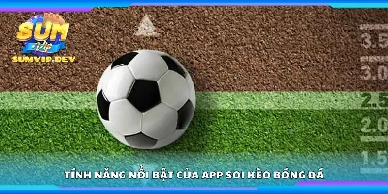 Khám phá tính năng nổi bật của app soi kèo bóng đá
