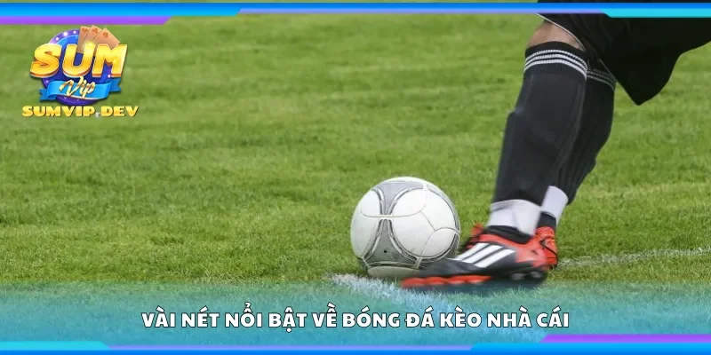 Vài nét nổi bật về bóng đá kèo nhà cái