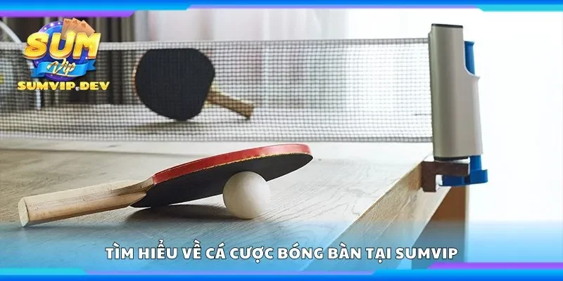 Tìm hiểu về cá cược bóng bàn tại Sumvip