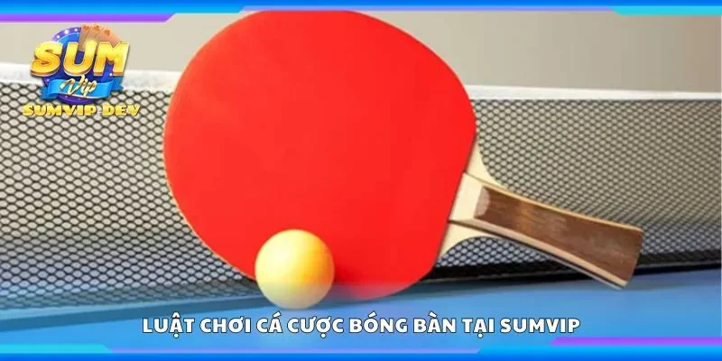 Tổng quan về luật chơi cá cược bóng bàn tại Sumvip