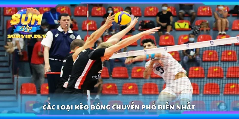 Các loại kèo bóng chuyền phổ biến nhất 