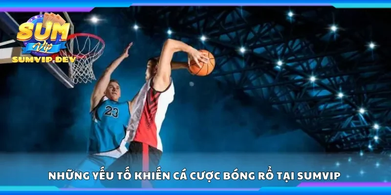 Những yếu tố khiến cá cược bóng rổ tại Sumvip thu hút người chơi