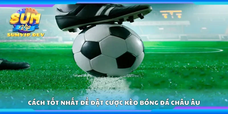 Cách tốt nhất để đặt cược kèo bóng đá châu Âu