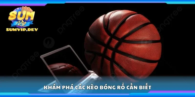 Khám phá các kèo bóng rổ cần biết