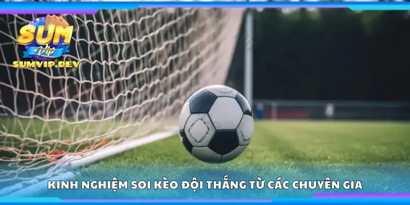 Các kinh nghiệm soi kèo đội thắng từ các chuyên gia