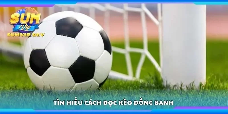 Tìm hiểu cách đọc kèo đồng banh