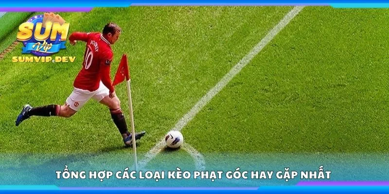 Tổng hợp các loại kèo phạt góc hay gặp nhất