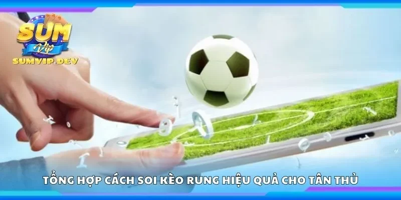 Tổng hợp cách soi kèo rung hiệu quả cho tân thủ