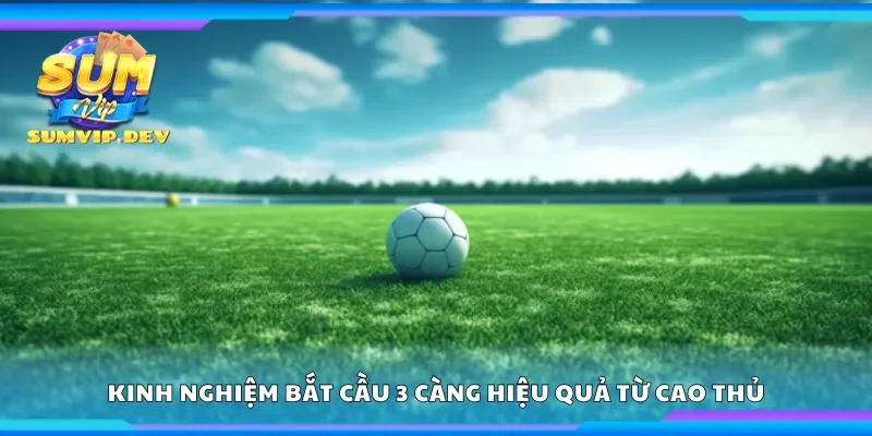 Chia sẻ kinh nghiệm bắt cầu 3 càng hiệu quả từ cao thủ