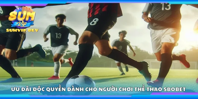 Ưu đãi độc quyền dành cho người chơi thể thao Sbobet 