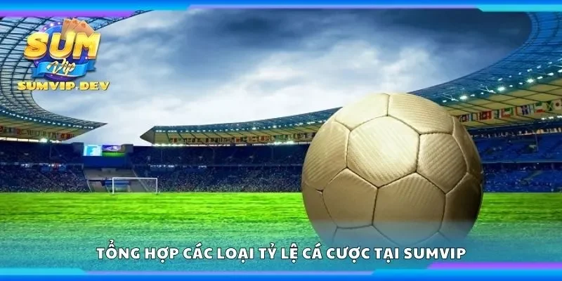 Tổng hợp các loại tỷ lệ cá cược tại Sumvip