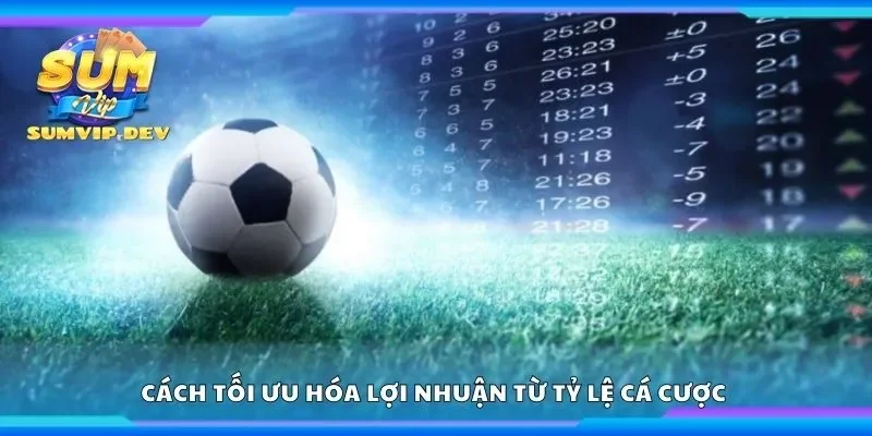 Tìm hiểu cách tối ưu hóa lợi nhuận từ tỷ lệ cá cược