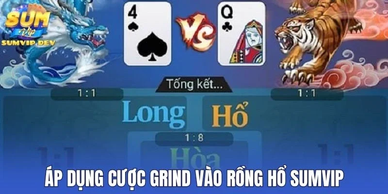 Áp dụng cược Grind vào rồng hổ 