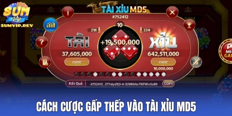Cách cược gấp thếp vào Tài Xỉu MD5