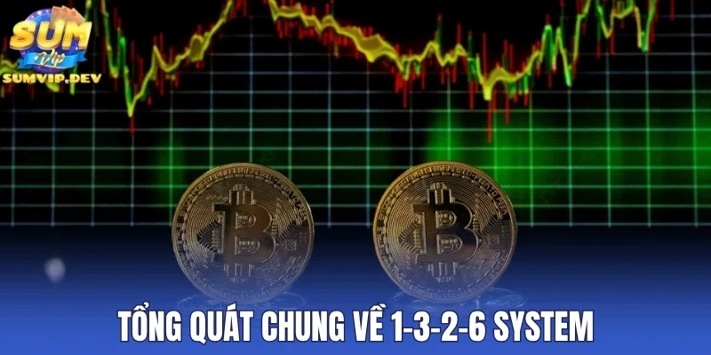 Tổng quát chung về 1-3-2-6 System